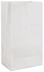 White Paper Bags (Pack of 10)