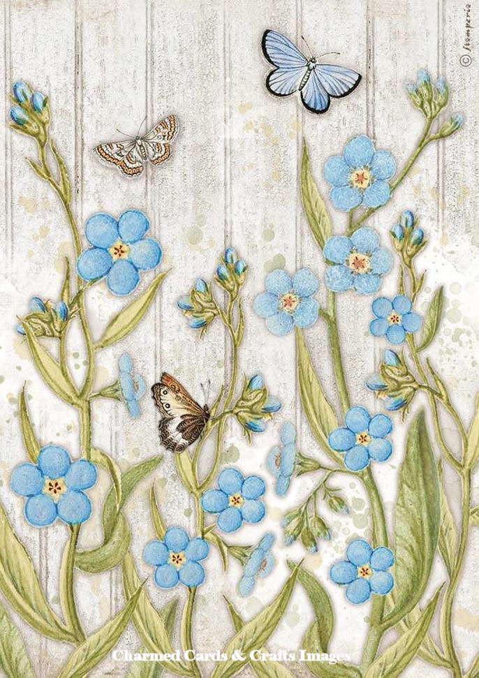 Stamperia  House Garden A4 Rice Paper - Blue Flowers & Butterflies (DFSA4667)