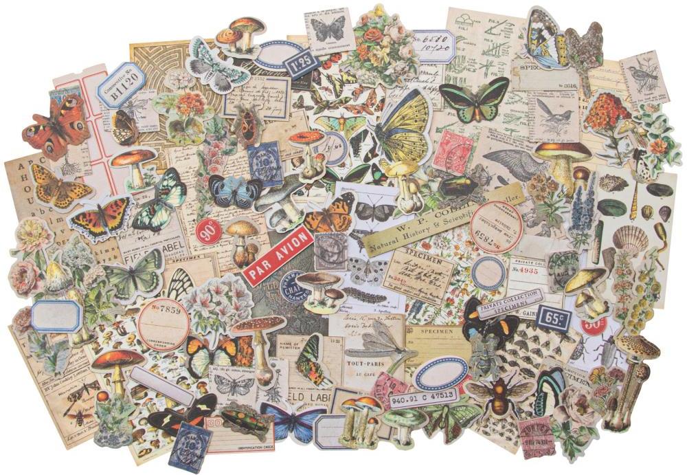 Idea-ology Tim Holtz Field Notes Ephemera Pack SNIPPETS (TH94049)