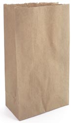 Brown Paper Bags (Pack of 10)