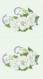 Dcoupage - White Roses (114)