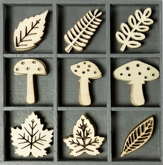 Wooden Shapes - Mushrooms & Leaves (1020)