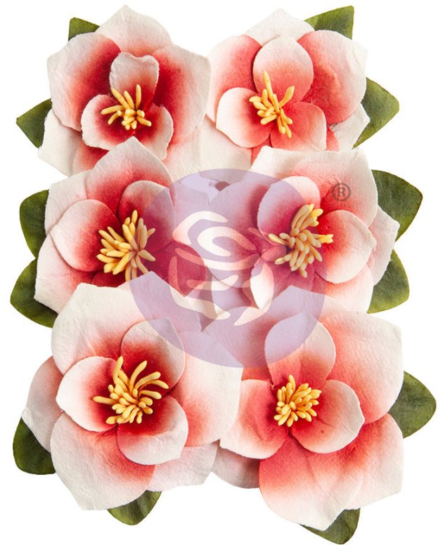 Prima Magnolia Rouge Flowers Blushing Florals (659639)