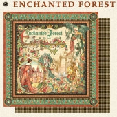 Graphic 45 Enchanted Forest